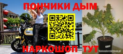 прущие грибы Гусиноозёрск