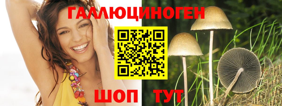 Обь  дарнет шоп  Вход с VPN  Галлюциногенные грибы Psilocybine cubensis 