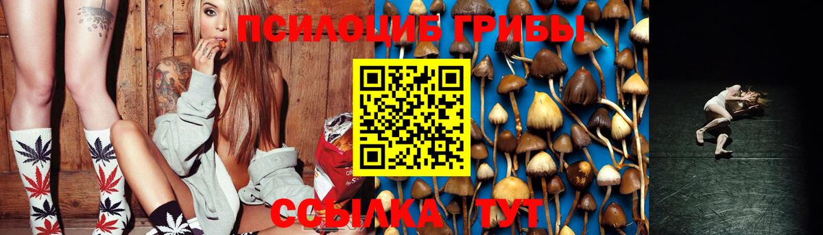 Псилоцибиновые грибы мухоморы Обь